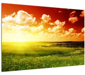 Slika livade sa sjajnim suncem (90x60 cm)