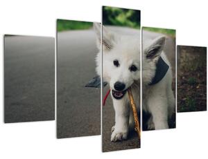 Slika bijelog psa (150x105 cm)