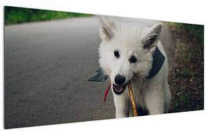 Slika bijelog psa (120x50 cm)