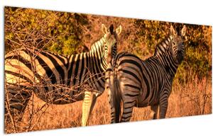Slika zebri (120x50 cm)
