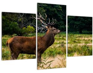 Slika jelena (90x60 cm)