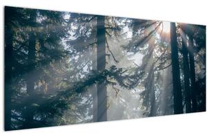 Slika drveća sa sunčevim zracima (120x50 cm)