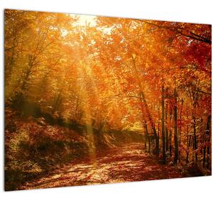 Slika jesenske šume (70x50 cm)