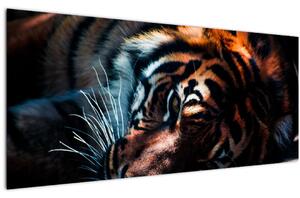 Slika ležećeg tigra (120x50 cm)