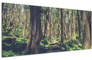 Slika staze između drveća (120x50 cm)