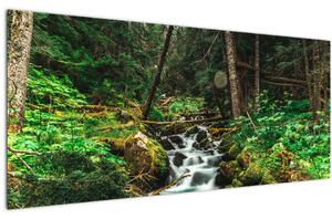 Slika potoka u šumi (120x50 cm)