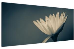 Slika cvijeta (120x50 cm)