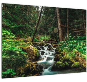 Slika potoka u šumi (70x50 cm)