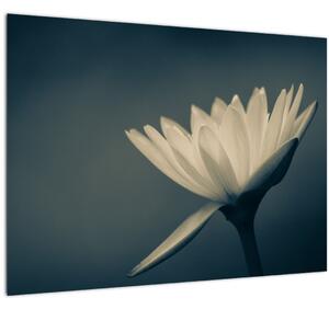 Slika cvijeta (70x50 cm)