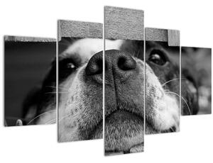 Slika psa (150x105 cm)