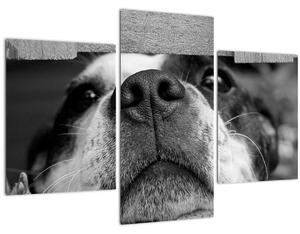 Slika psa (90x60 cm)