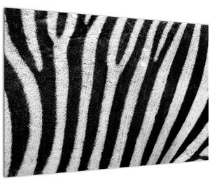 Slika kože zebre (90x60 cm)