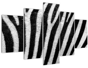 Slika kože zebre (150x105 cm)