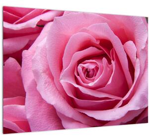 Slika ruže (70x50 cm)