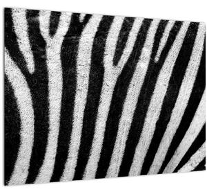 Slika kože zebre (70x50 cm)