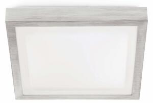 FARO 62983 - Stropna svjetiljka za kupaonicu TOLA 1 1xE27/20W/230V IP44