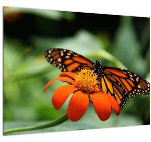 Slika leptira na cvijetu (70x50 cm)