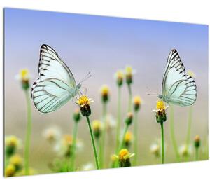Slika leptira na cvijetu (90x60 cm)