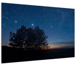 Slika drveća noću (90x60 cm)