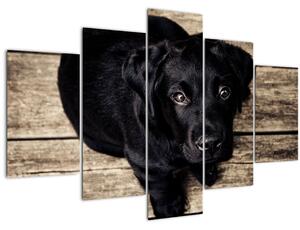 Slika crnog psića (150x105 cm)