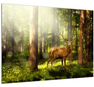Slika jelena u šumi (70x50 cm)