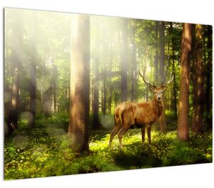 Slika jelena u šumi (90x60 cm)
