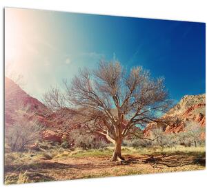 Slika stabla u pustinji (70x50 cm)