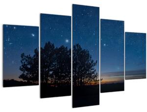 Slika drveća noću (150x105 cm)