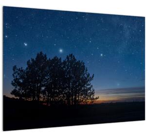 Slika drveća noću (70x50 cm)