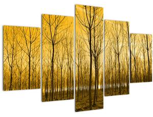 Slika - Plantaža drveća (150x105 cm)