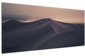 Slika - Pješčane dine (120x50 cm)