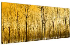 Slika - Plantaža drveća (120x50 cm)