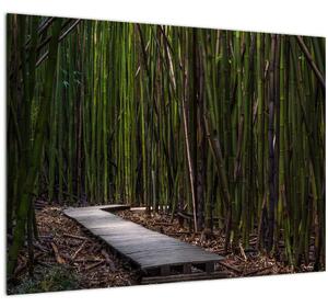 Slika - Između bambusa (70x50 cm)