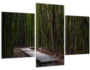 Slika - Između bambusa (90x60 cm)