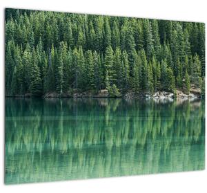 Slika - Četinari uz jezero (70x50 cm)