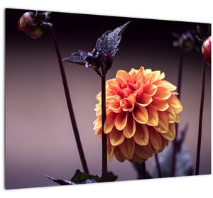 Slika - Cvijetić (70x50 cm)