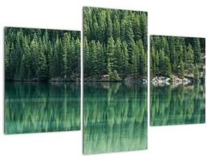 Slika - Četinari uz jezero (90x60 cm)