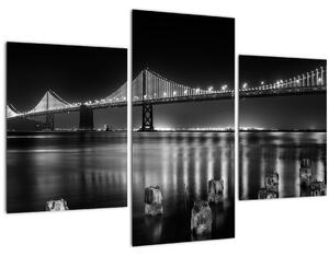 Slika - Crno-bijeli most (90x60 cm)