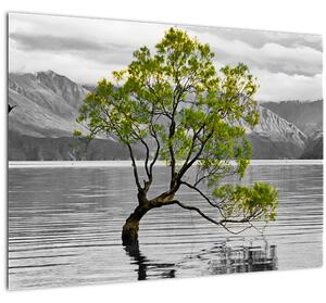 Slika stabla usred jezera (70x50 cm)