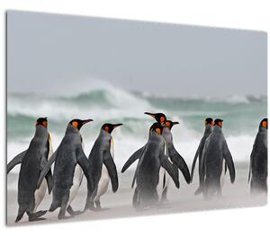 Slika pingvina uz ocean (90x60 cm)