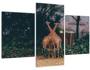 Slika dviju žirafa (90x60 cm)