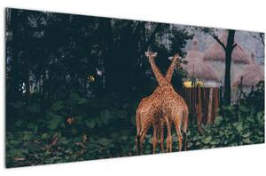 Slika dviju žirafa (120x50 cm)