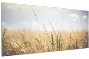Slika žita (120x50 cm)