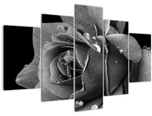Slika ruže - crno-bijela (150x105 cm)