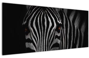 Slika zebre (120x50 cm)