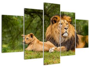 Slika lavova (150x105 cm)