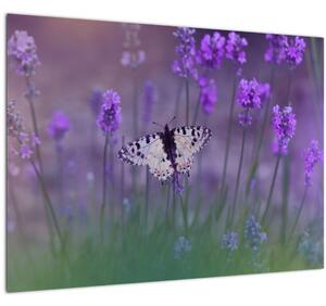 Staklena slika - Leptir u lavandi (70x50 cm)