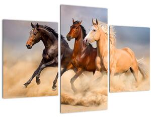 Slika - Divlji konji (90x60 cm)