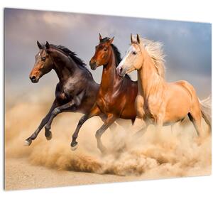 Slika - Divlji konji (70x50 cm)