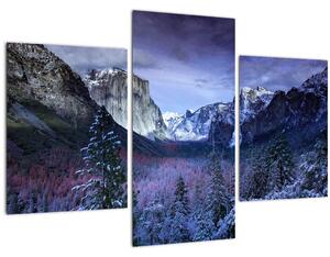 Slika - Yosemite, SAD (90x60 cm)